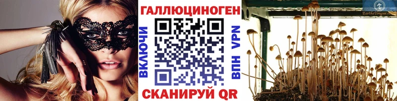 Купить закладки  Дедовск  Галлюциногенные грибы Cubensis 